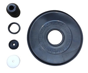 RS1009