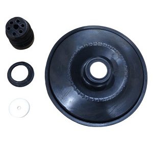RS1065