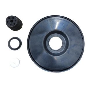 RS1113