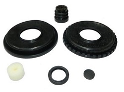 RS1029