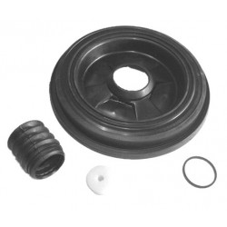 RS1069
