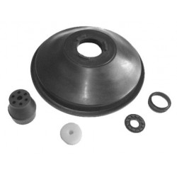 RS1074
