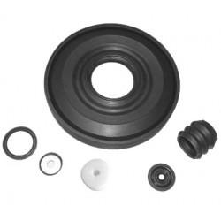 RS1090