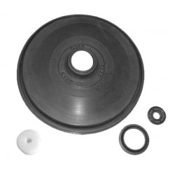 RS1097