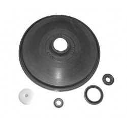 RS1098