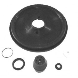 RS1099