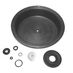 RS1101
