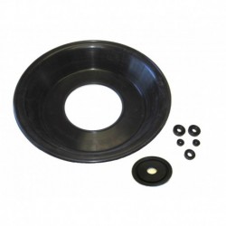RS1135