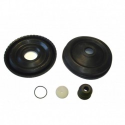 RS1136