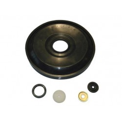 RS1145