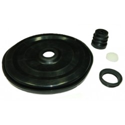 RS1162